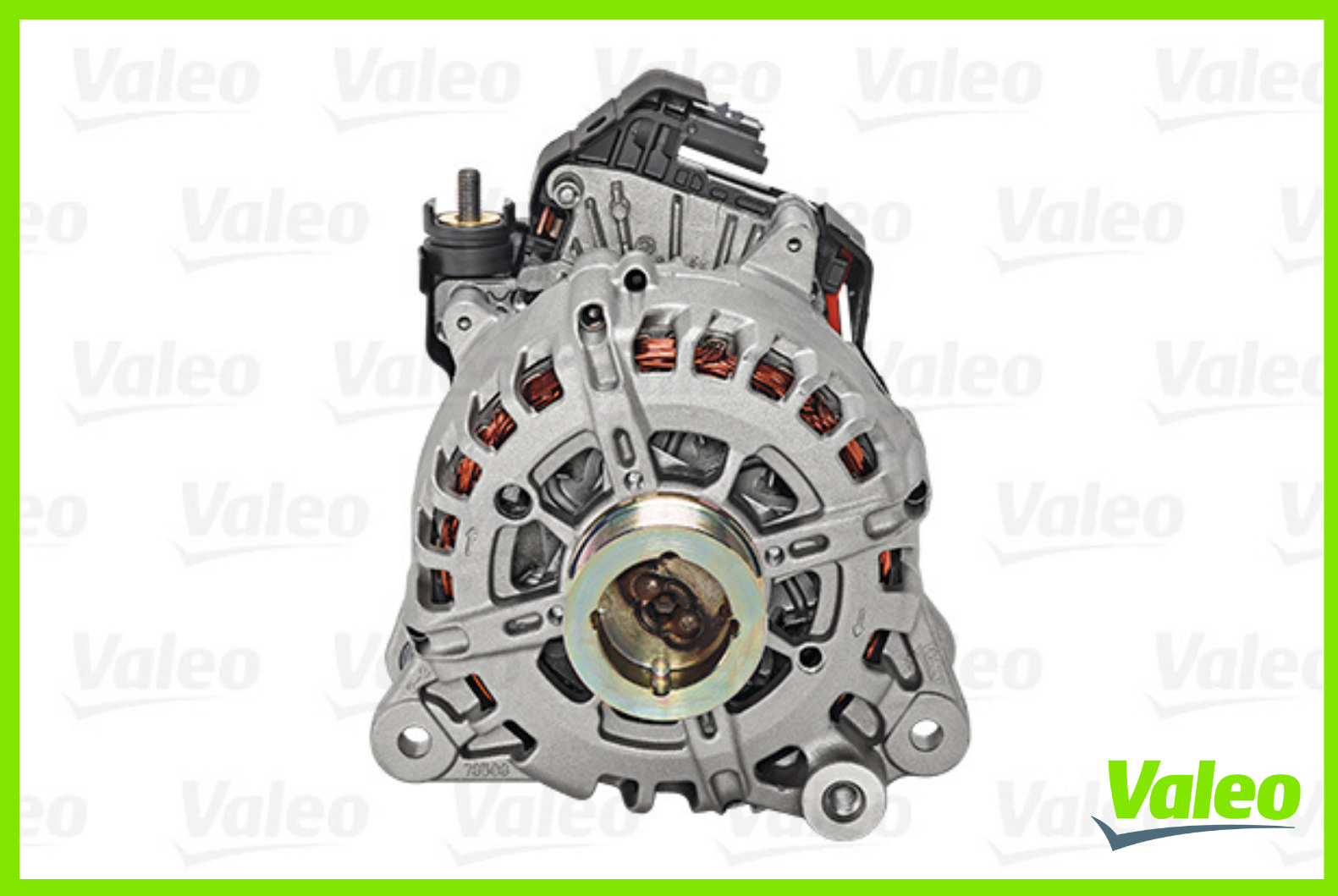 EcoFriendly 48V Integrated Belt Starter Generator Valeo Service